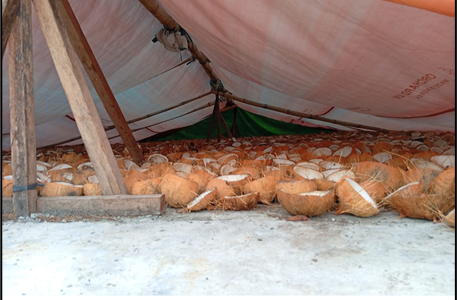 EKSPOR BERKELANJUTAN: MENJAGA LINGKUNGAN, MENJAGA PASAR, DAN KESEJAHTERAAN SUMBER DAYA PETANI